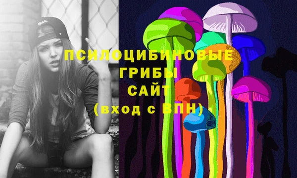 тгк Балахна