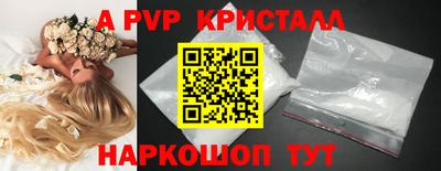 спайс Малгобек