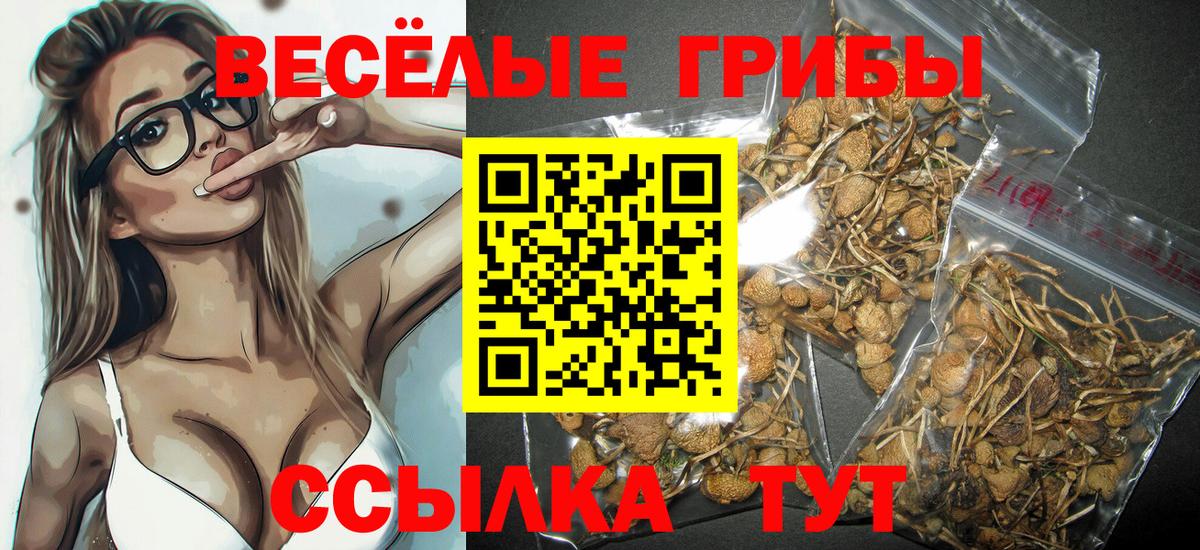 Псилоцибиновые грибы мицелий Вольск